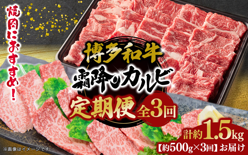 博多和牛 霜降りカルビ 全3回定期便 約500g×3回