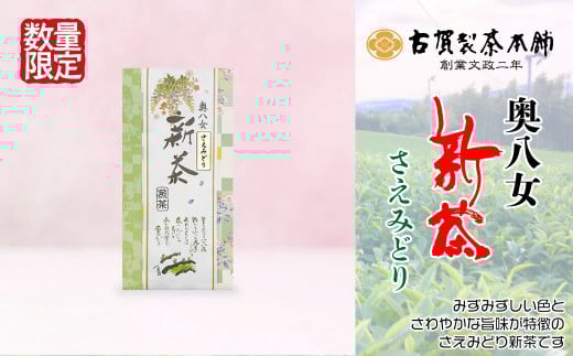 古賀製茶本舗　奥八女新茶　さえみどり煎茶１００ｇ【2024年5月以降発送】 【メール便】