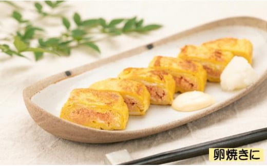 ãã詊ããèŸåæå€ªååå°ãïŒïŒïŒïœãèš³ã¢ãªãå倿Œåž«ã®é