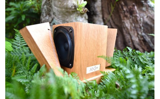 【最新モデル】本格木製スピーカー - hawk - 木製 職人技 匠の技 スピーカー インテリア 家電 オーディオ クリアサウンド 音楽 音質