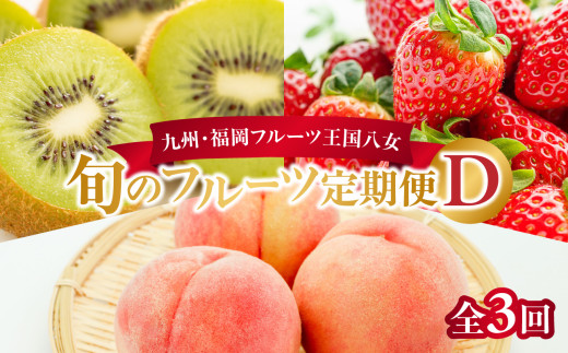 九州・福岡フルーツ王国八女　旬のフルーツ定期便【全３回】 D｜＜配送不可：北海道・沖縄・離島＞ あまおう 苺いちご イチゴ キウイ キウイフルーツ もも 桃 モモ 果物くだもの フルーツ 定期便 デザート 旬 もぎたて 直送 福岡 八女市