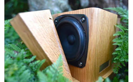 【最新モデル】本格木製スピーカー - hawk - 木製 職人技 匠の技 スピーカー インテリア 家電 オーディオ クリアサウンド 音楽 音質