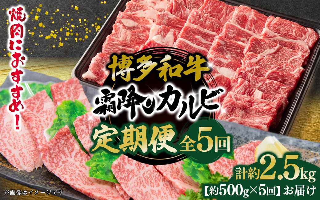 博多和牛 霜降りカルビ 全5回定期便 約500g×5回