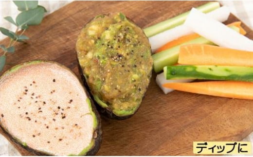 ãã詊ããèŸåæå€ªååå°ãïŒïŒïŒïœãèš³ã¢ãªãå倿Œåž«ã®é