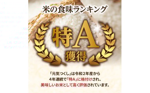 九州・福岡からお届け！ブランド米「元気つくし」定期便【全5回】 お米 米 コメ 白米 特A 直送 お弁当 おにぎり 炊きたて ツヤ 粘り もちもち 弾力 卵かけご飯 福岡県 八女市