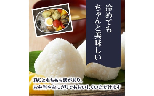 九州・福岡からお届け！ブランド米「元気つくし」定期便【全5回】 お米 米 コメ 白米 特A 直送 お弁当 おにぎり 炊きたて ツヤ 粘り もちもち 弾力 卵かけご飯 福岡県 八女市