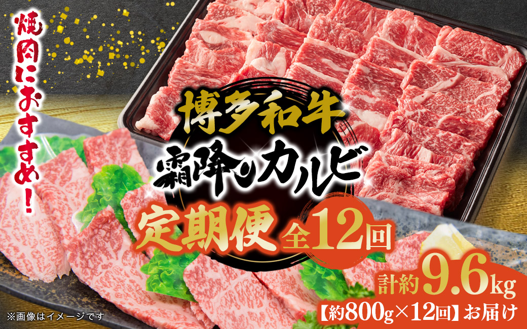 博多和牛 霜降りカルビ 全12回定期便 約800g×12回