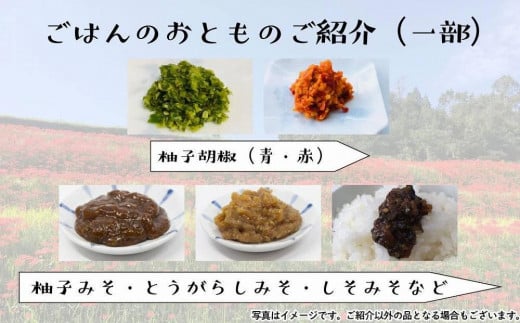 ãçŠå²¡å
«å¥³ã»å¥¥å
«å¥³ãéå±±ã®æµã¿ããéèïŒæä»èŸŒã¿ã»ããå®æäŸ¿ãå
šïŒåãâ»é
éäžå¯ïŒåæµ·éãšé¢å³¶ïŒæ²çžæ¬å³¶ãå«ãïŒ