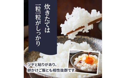 九州・福岡からお届け！ブランド米「元気つくし」定期便【全5回】 お米 米 コメ 白米 特A 直送 お弁当 おにぎり 炊きたて ツヤ 粘り もちもち 弾力 卵かけご飯 福岡県 八女市