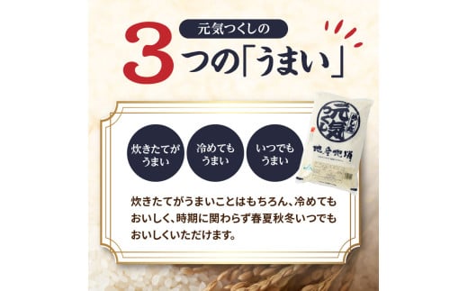九州・福岡からお届け！ブランド米「元気つくし」定期便【全5回】 お米 米 コメ 白米 特A 直送 お弁当 おにぎり 炊きたて ツヤ 粘り もちもち 弾力 卵かけご飯 福岡県 八女市