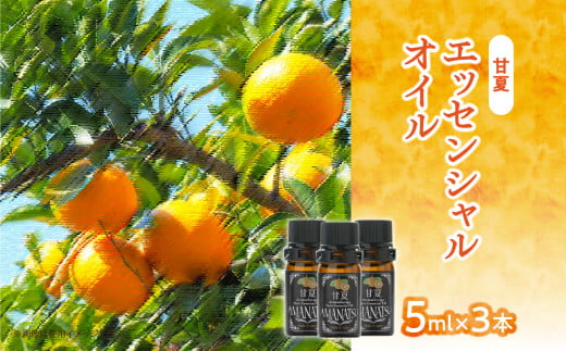 çå€ãšãã»ã³ã·ã£ã«ãªã€ã«ïŒ3æ¬ã»ããïŒ