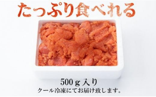 ãã詊ããèŸåæå€ªååå°ãïŒïŒïŒïœãèš³ã¢ãªãå倿Œåž«ã®é