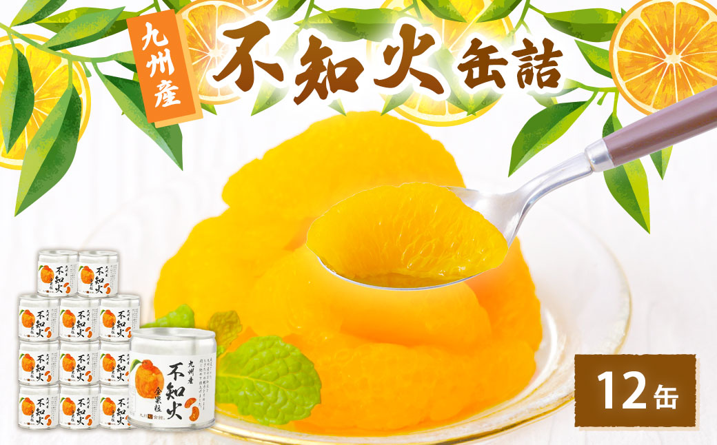 不知火缶詰 12缶入