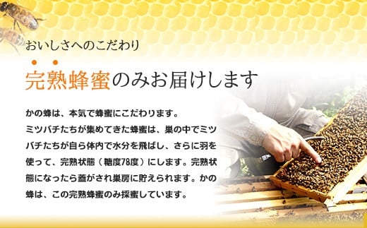 ïŒåœç£ïŒãã®è ã¿ããèè1.2kgã600gÃ2åãçŠå²¡çå
«å¥³åžã§åç²ããå®çã¿ããèè