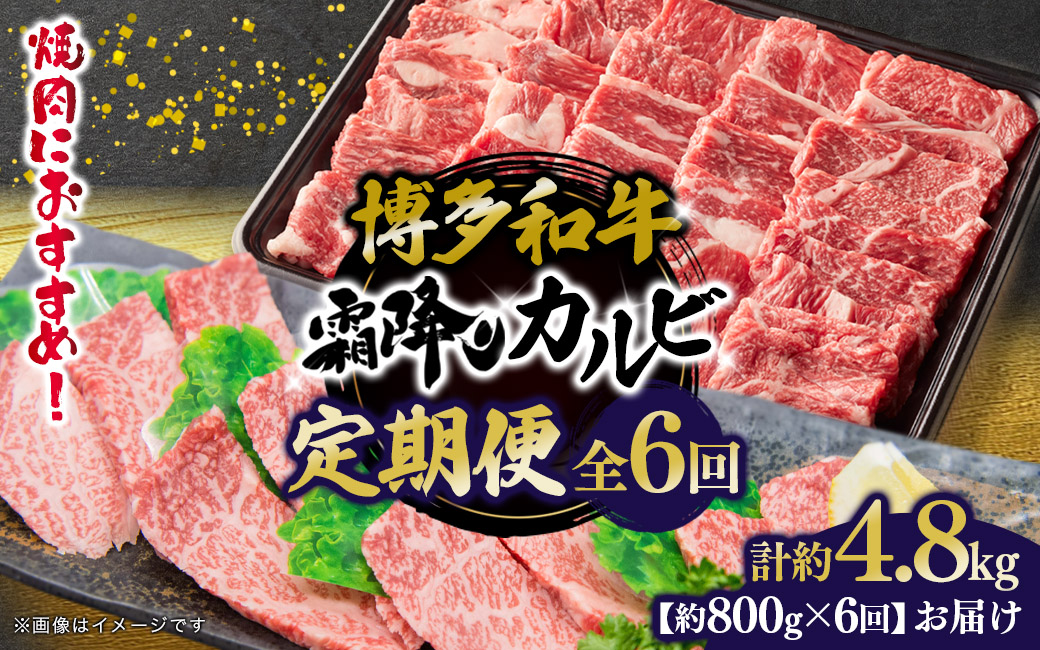 博多和牛 霜降りカルビ 全6回定期便 約800g×6回
