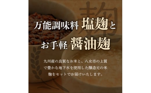 ＜江崎酢醸造元＞醸造元の塩麹・醤油麹４本セット（各２本） 調味料 お醤油 麹 塩こうじ 万能調味料 発酵食品 料理 腸活 健康 セット