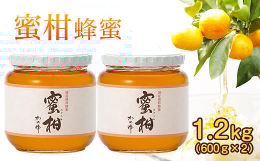 ïŒåœç£ïŒãã®è ã¿ããèè1.2kgã600gÃ2åãçŠå²¡çå
«å¥³åžã§åç²ããå®çã¿ããèè