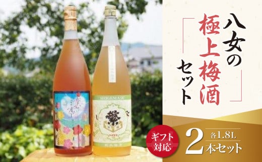 【ギフト用】八女の極上梅酒セット（ギフト対応）純米酒仕込み 飲み比べ 本格梅酒 ロック お酒 ギフト プレゼント 福岡県 八女市