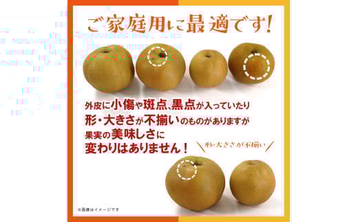 九州・福岡フルーツ王国八女　お楽しみ旬のフルーツ定期便【全３回】｜＜配送不可：北海道・沖縄・離島＞　あまおう シャインマスカット 梨 いちご 苺 なし 果物 先行予約