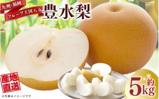 産地直送！ 梨(豊水) 約5kg 【2026年8～9月発送】九州・福岡フルーツ王国八女 ＜配送不可：北海道・沖縄・離島＞ なし ナシ 果物 果実 フルーツ 先行予約 デザート 旬 新鮮 甘い 甘み ジューシー みずみずしい 果汁 国産 季節限定 冷蔵配送 数量限定 秋の味覚