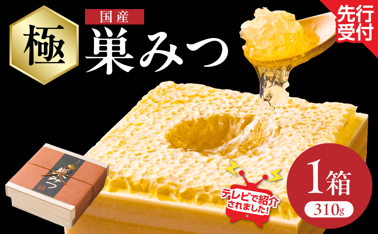 【TVで紹介！】はちみつ 国産 極巣みつ 310g ミツバチ 巣 蜂蜜 巣みつ 自然 貯蔵 鮮度 味 栄養 極上 香り 形 福岡県 八女市
