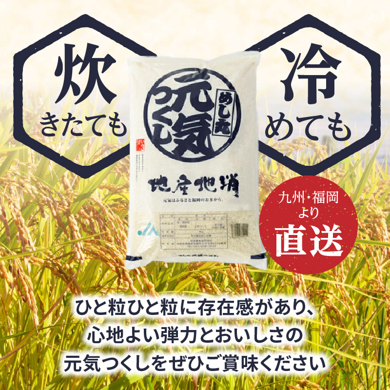 九州・福岡からお届け！ブランド米「元気つくし」定期便【全12回】 お米 米 コメ 白米 特A 直送 お弁当 おにぎり 炊きたて ツヤ 粘り もちもち 弾力 卵かけご飯 福岡県 八女市