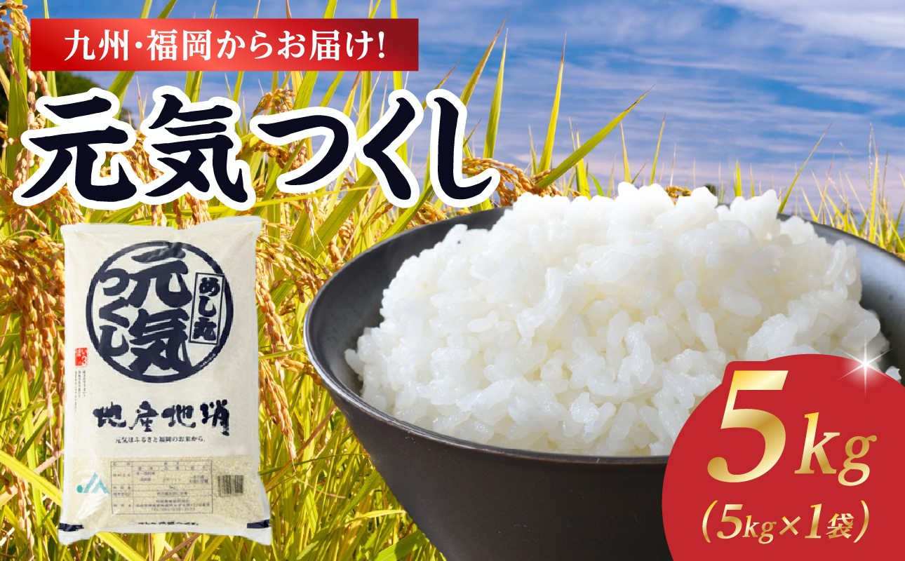 【限定価格】九州・福岡からお届け！ブランド米「元気つくし」5kg×1袋 お米 米 コメ 白米 特A 直送 お弁当 おにぎり 炊きたて ツヤ 粘り もちもち 弾力 卵かけご飯 福岡県 八女市
