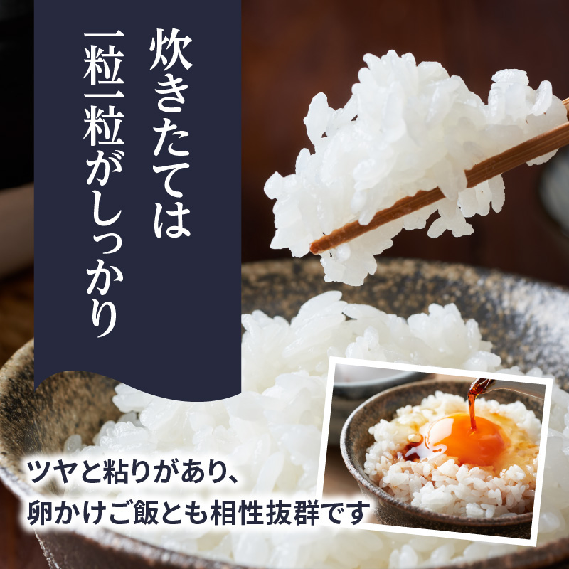 九州・福岡からお届け！ブランド米「元気つくし」定期便【全12回】 お米 米 コメ 白米 特A 直送 お弁当 おにぎり 炊きたて ツヤ 粘り もちもち 弾力 卵かけご飯 福岡県 八女市