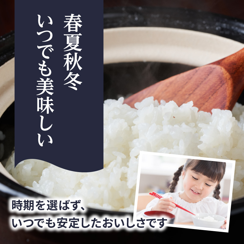 九州・福岡からお届け！ブランド米「元気つくし」定期便【全12回】 お米 米 コメ 白米 特A 直送 お弁当 おにぎり 炊きたて ツヤ 粘り もちもち 弾力 卵かけご飯 福岡県 八女市