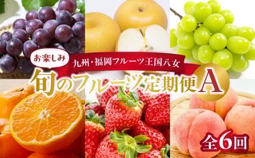 九州・福岡フルーツ王国八女 お楽しみ旬のフルーツ定期便【全6回】Ａ｜＜配送不可：北海道・沖縄・離島＞ いちご 苺 イチゴ あまおう 桃 もも モモ 葡萄 ぶどう 梨 シャインマスカット みかん 蜜柑 オレンジ