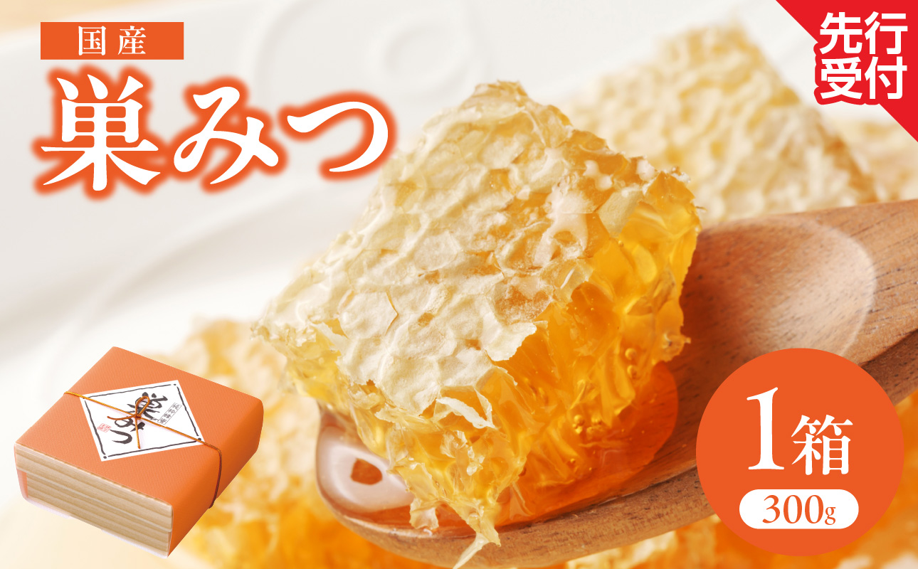 はちみつ 国産 巣みつ 300g ミツバチ 巣 蜂蜜 鮮度 味 栄養 自然 貯蔵 福岡県 八女市
