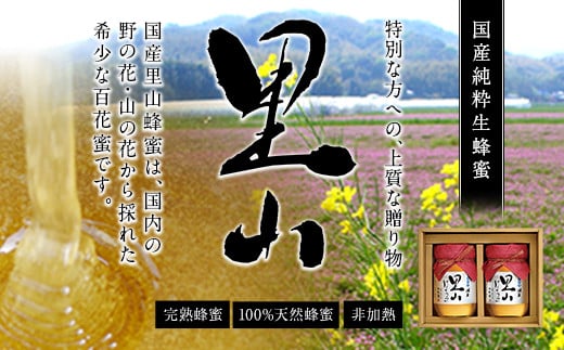 【ギフト用】 かの蜂  国産里山蜂蜜【500g×2本】セット 養蜂一筋60年自慢の一品 蜂蜜 はちみつ ハチミツ 国産 年内配送 年内発送 お歳暮 御歳暮 お中元 御中元 贈り物 母の日 父の日 誕生日 プレゼント バースデー 敬老の日 ギフト