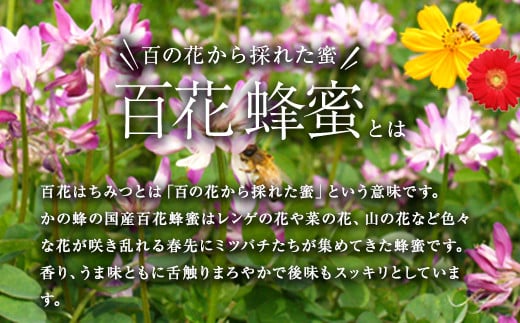 ＜国産＞かの蜂 百花蜂蜜【300g×3個】養蜂一筋60年自慢の一品 蜂蜜 はちみつ ハチミツ 非加熱 国産 瓶タイプ 常温 保存 備蓄 防災食 非常食 年内配送 年内発送 プレゼント 保存食 防災グッズ