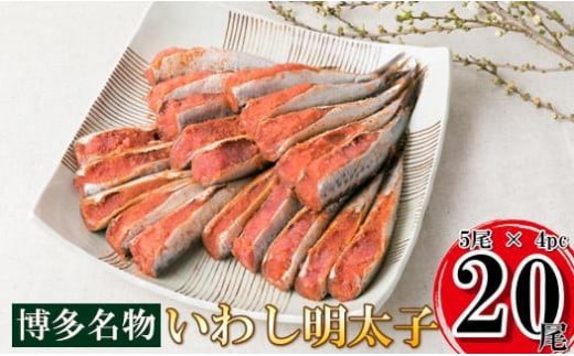 【博多漁師の里】福岡名物！いわし明太子２０尾（５尾×４パック）化粧箱入り 国産真いわし使用 化粧箱入り　国産真いわし使用 鰯 イワシ 旬 魚 めんたいこ ご飯のお供 おつまみ おかず 冷凍 真空パック 便利 簡単調理 美味しい