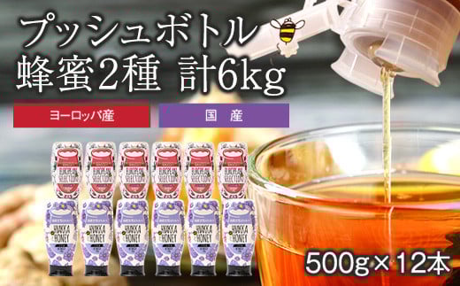 かの蜂 プッシュボトル 蜂蜜 2種 6kg（500g×12本） はちみつ