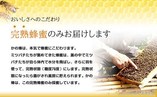 【全3回】 定期便 かの蜂 国産 みかん蜂蜜 合計1.5kg（とんがり容器500gを毎月1本お届け） 蜂蜜 はちみつ ハチミツ 非加熱 国産 ボトル 常温 保存 備蓄 防災食 非常食 プレゼント 保存食 防災グッズ 福岡県 八女市