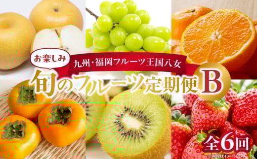 九州・福岡フルーツ王国八女　お楽しみ旬のフルーツ定期便【全６回】Ｂ｜＜配送不可：北海道・沖縄・離島＞ あまおう いちご 苺 イチゴ 梨 なし シャインマスカット みかん 柿 かき キウイ フルーツ