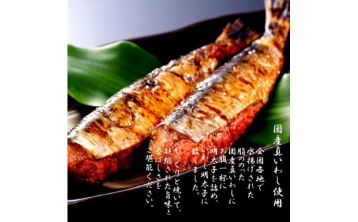 【博多漁師の里】福岡名物！いわし明太子２０尾（５尾×４パック）化粧箱入り 国産真いわし使用 化粧箱入り　国産真いわし使用 鰯 イワシ 旬 魚 めんたいこ ご飯のお供 おつまみ おかず 冷凍 真空パック 便利 簡単調理 美味しい