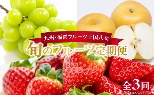 九州・福岡フルーツ王国八女　お楽しみ旬のフルーツ定期便【全３回】｜＜配送不可：北海道・沖縄・離島＞　あまおう シャインマスカット 梨 いちご 苺 なし 果物 先行予約