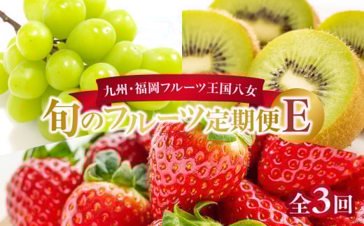 ä¹å·ã»çŠå²¡ãã«ãŒãçåœå
«å¥³ããæ¥œãã¿æ¬ã®ãã«ãŒãå®æäŸ¿ãå
šïŒåã EïœïŒé
éäžå¯ïŒåæµ·éã»æ²çžã»é¢å³¶ïŒ