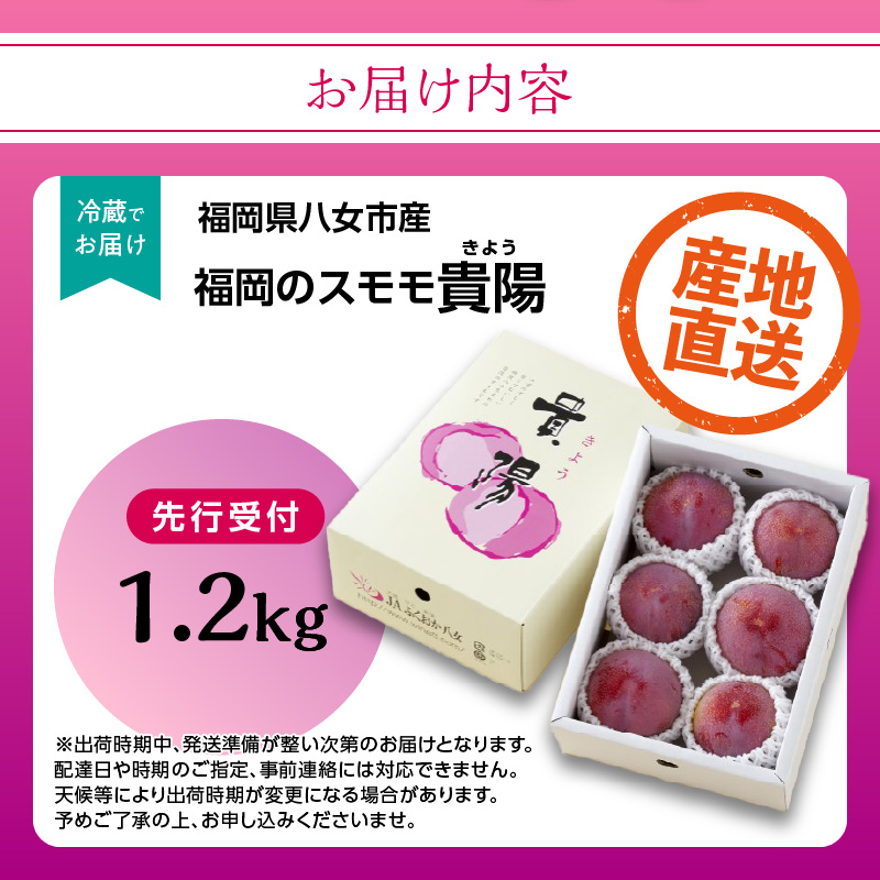 【先行受付】＜福岡のスモモ＞貴陽【1.2kg】【JAふくおか八女】※7月上旬〜発送予定 すもも フルーツ 産地直送 高糖度 糖度18度 美味しい 濃厚 甘酸っぱい 旬 先行予約 数量限定 期間限定 クール便 冷蔵配送