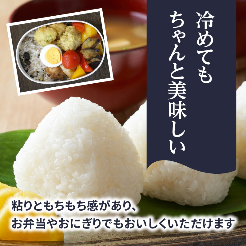 九州・福岡からお届け！ブランド米「元気つくし」定期便【全12回】 お米 米 コメ 白米 特A 直送 お弁当 おにぎり 炊きたて ツヤ 粘り もちもち 弾力 卵かけご飯 福岡県 八女市