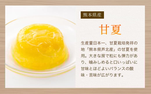 â
幎å
ãå±ãâ
æ¥æ¬ã®æå®ãã«ãŒããŒãªãŒ ã»ãã12å 幎å
é
é 幎å
ãå±ã 2025幎 å¹Žæ« å¹Žå
çºé çå€ ããã ã¿ã³ã«ã³ ã¡ãã³ ãã«ãŒããªãŒ æ°é«æ¢š ã®ãã æŽèå