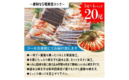 【博多漁師の里】福岡名物！いわし明太子２０尾（５尾×４パック）化粧箱入り 国産真いわし使用 化粧箱入り　国産真いわし使用 鰯 イワシ 旬 魚 めんたいこ ご飯のお供 おつまみ おかず 冷凍 真空パック 便利 簡単調理 美味しい