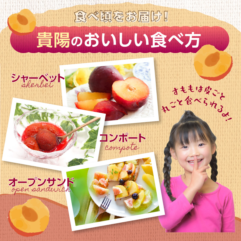 【先行受付】＜福岡のスモモ＞貴陽【1.2kg】【JAふくおか八女】※7月上旬〜発送予定 すもも フルーツ 産地直送 高糖度 糖度18度 美味しい 濃厚 甘酸っぱい 旬 先行予約 数量限定 期間限定 クール便 冷蔵配送