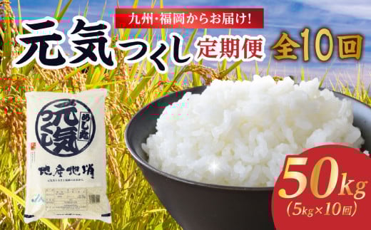 ä¹å·ã»çŠå²¡ãããå±ãïŒãã©ã³ãç±³ãå
æ°ã€ãããå®æäŸ¿ãå
š10åã ãç±³ ç±³ ã³ã¡ çœç±³ ç¹A çŽé ãåŒåœ ãã«ãã çãã㊠ã〠ç²ã ãã¡ã㡠匟å åµããã飯 çŠå²¡ç å
«å¥³åž