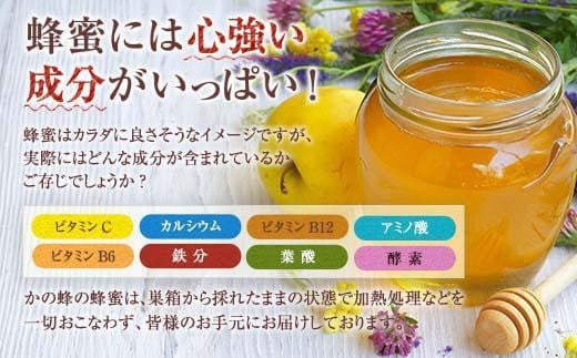 【全3回】 定期便 かの蜂 国産 百花蜂蜜 合計3kg（とんがり容器500gを毎月2本お届け） 国産蜂蜜 百花蜂蜜 定期便 ハチミツ かの蜂 健康食品 とんがり容器 贈り物 朝食 美容