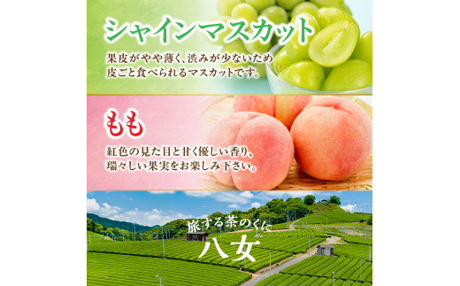 九州・福岡フルーツ王国八女　お試し旬のフルーツ定期便【全２回】 F｜＜配送不可：北海道・沖縄・離島＞ 桃 シャインマスカット もも 果物 先行予約 旬のフルーツ 詰め合わせ 福岡県 お取り寄せ 八女市