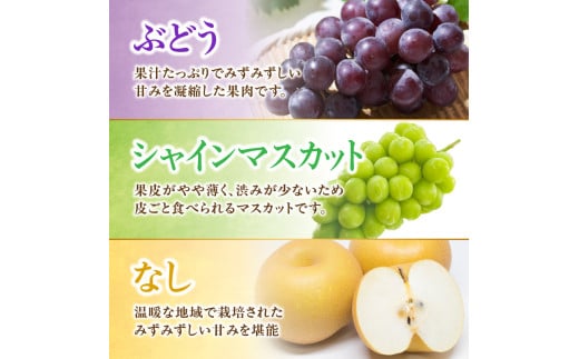 福岡・八女満喫定期便 プレミアム全１２回Ｂ｜＜配送不可：北海道・沖縄・離島＞ 定期便 グルメ 肉 フルーツ 博多和牛 あまおう 辛子明太子 桃 シャインマスカット 梨 みかん 豚しゃぶ 焼肉 明太子 新茶 八女茶 しゃぶしゃぶ すき焼き