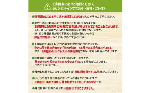 九州・福岡フルーツ王国八女　お試し旬のフルーツ定期便【全２回】 F｜＜配送不可：北海道・沖縄・離島＞ 桃 シャインマスカット もも 果物 先行予約 旬のフルーツ 詰め合わせ 福岡県 お取り寄せ 八女市